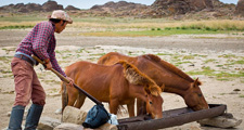 Mongolia-Gobi Steppe-Eastern Gobi Trail